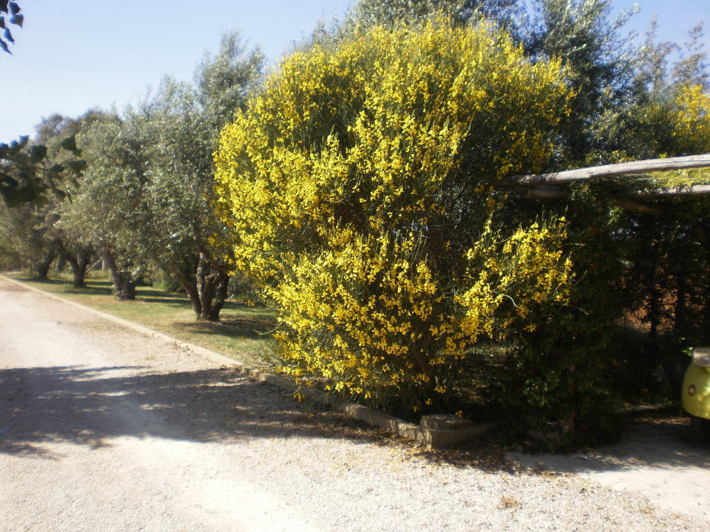 Locanda Degli Etruschi Montalto di Castro Eksteriør billede